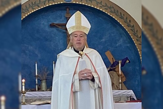 Cardinal Robert McElroy to Lead Archdiocese of Washington, Departing San Diego after Decade of Service