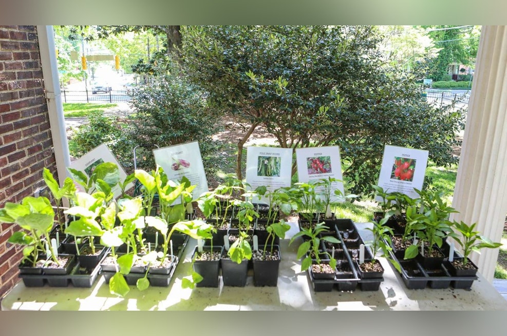 Celebrate Earth Day with Heirloom Plant Sale at Mordecai Historic Park in Raleigh