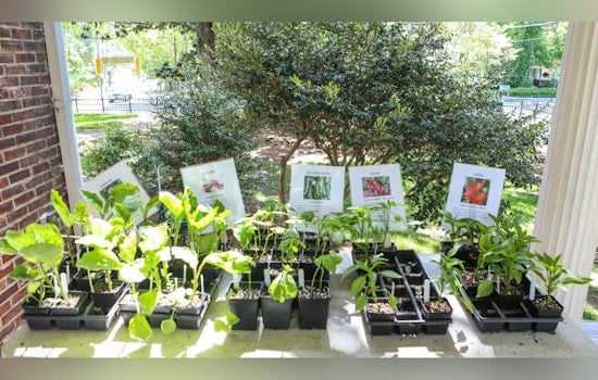 Celebrate Earth Day with Heirloom Plant Sale at Mordecai Historic Park in Raleigh