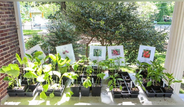 Celebrate Earth Day with Heirloom Plant Sale at Mordecai Historic Park in Raleigh