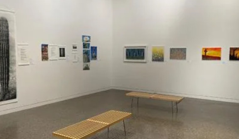 Chandler Museum Unveils Ceangal/Connections Exhibition Celebrating 15-Year Bond with Irish Sister City Tullamore