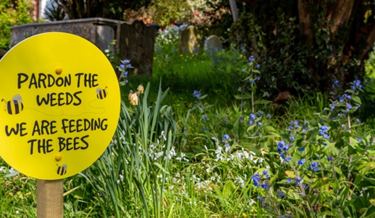 Charlotte Emphasizes Eco-Friendly Gardening to Protect Water Quality as Spring Arrives