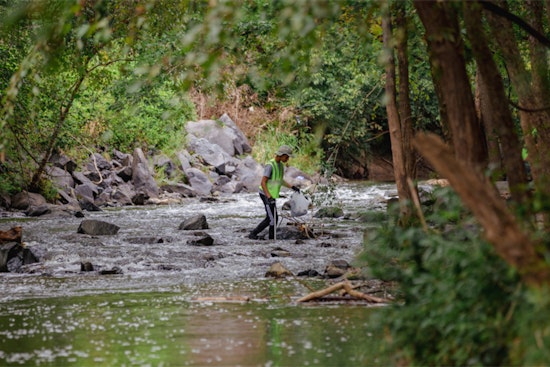 Charlotte-Mecklenburg Celebrates Urban Waterways with 7th Annual Creek Week