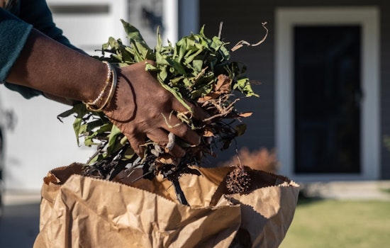 Charlotte Offers Convenient Bulky Item Pickup Service for Residents' Spring Cleaning Needs