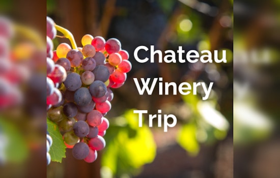Chateau Winery Tour & Elegant Luncheon Hosted by Mary Ann Young Center in St. Croix Falls