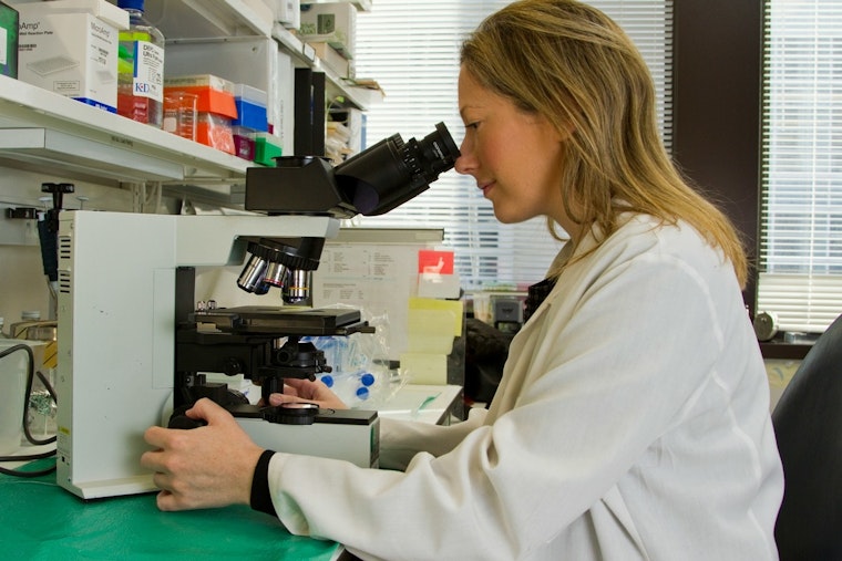 Chicago and Baltimore Scientists Rally Against NIH Funding Cuts Amid Fears for Research Future