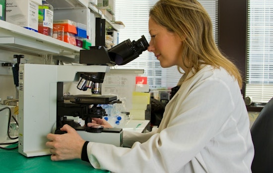 Chicago and Baltimore Scientists Rally Against NIH Funding Cuts Amid Fears for Research Future