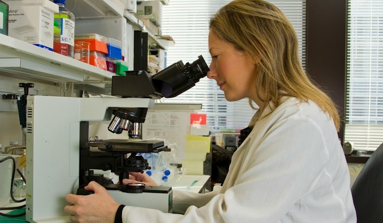 Chicago and Baltimore Scientists Rally Against NIH Funding Cuts Amid Fears for Research Future
