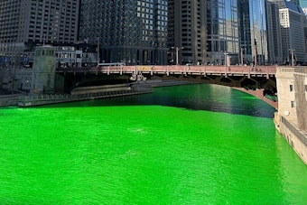 Chicago Embraces Irish Heritage with Green River Dyeing and St. Patrick's Day Parade