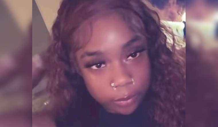 Chicago Police Seek Help Finding Missing Teen Malia Blake Last Seen on South Michigan Avenue
