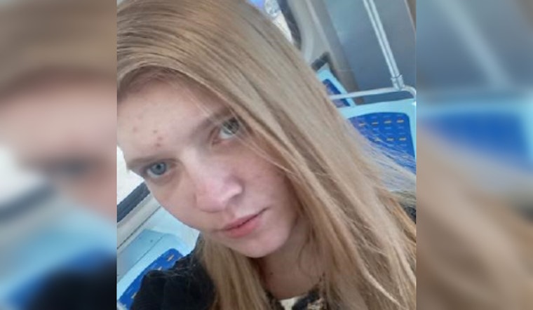 Chicago Police Seek Public's Help in Locating Missing Woman Kaitylan Disney-Gilbert