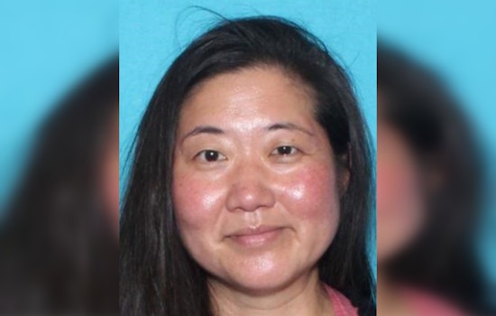 Chicago Police Seek Public's Aid in Search for Missing Woman Lisa Hwang Last Seen Leaving Illinois Masonic Hospital