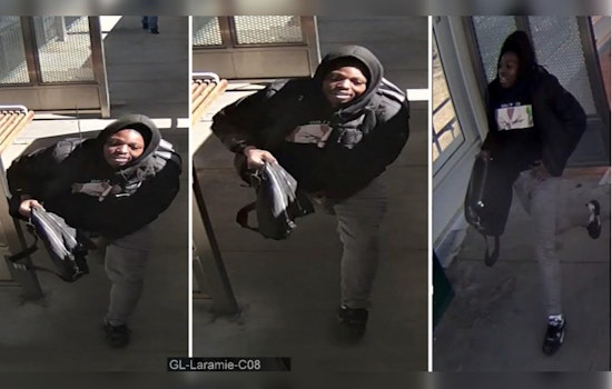 Chicago Police Seek Suspect After Daylight Strong Arm Robbery on Green Line in Austin