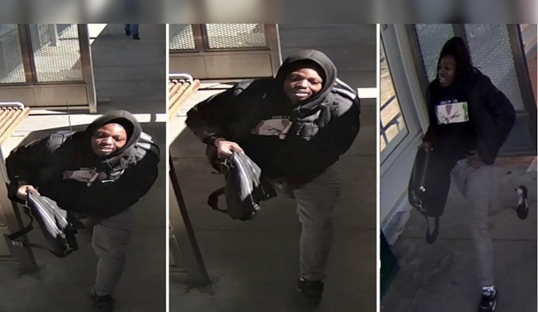 Chicago Police Seek Suspect After Daylight Strong Arm Robbery on Green Line in Austin