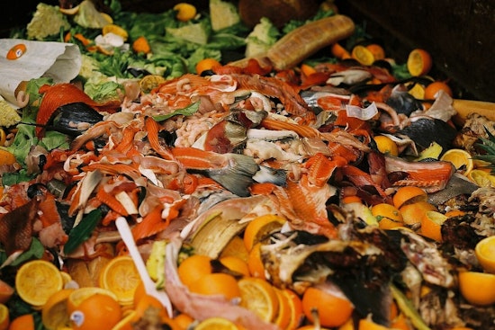Clark County Declares April 7-13 as Food Waste Prevention Week, Hosts Educational Events in Vancouver