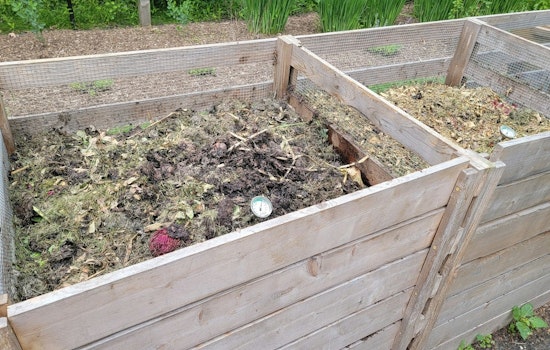 Clark County Offers Free Composting and Sustainable Living Workshops to Residents