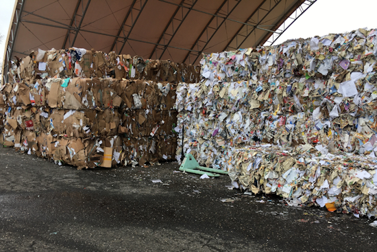 Clark County Seeks Eco-Conscious Volunteers for Solid Waste Advisory Commission Roles