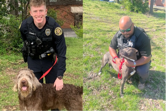 Clarksville PD Features Lovable Canines in "Pet of the Week" Campaign