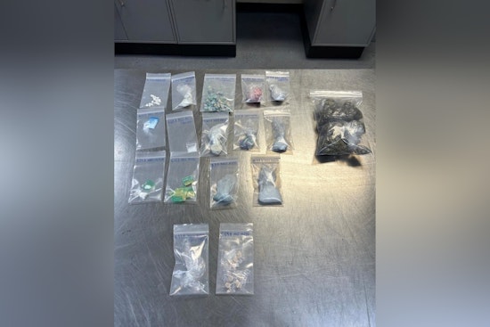 Clay County Deputies Arrest Jacksonville Duo on Trafficking Charges After Traffic Stop Unearths Drugs
