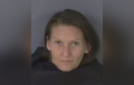 Clay County Sheriff's Office Seeks Assistance Locating Suspected Fugitive Carie Marie Gross in Orange Park, Florida