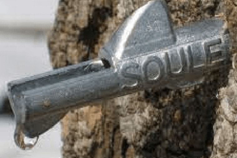 Cleary Lake Regional Park Hosts Hands-On Maple Sugaring Event on March 16