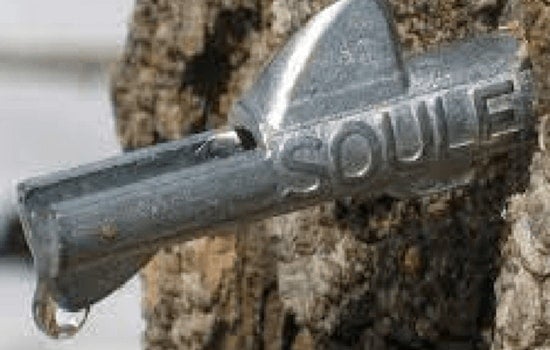 Cleary Lake Regional Park Hosts Hands-On Maple Sugaring Event on March 16