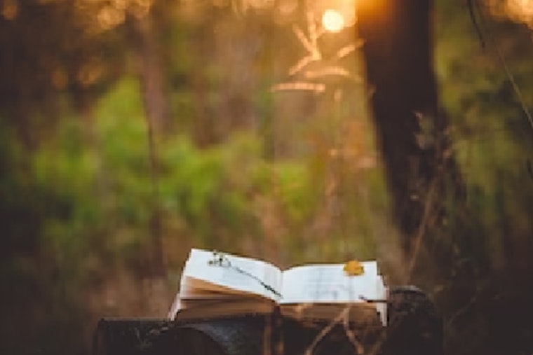 Cleary Lake Regional Park to Host Family-Friendly Nature Journaling Event on April 2