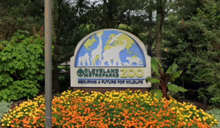 Cleveland Metroparks Zoo Invites Public to Name New Sloth Bear Cub in Conservation Fundraiser