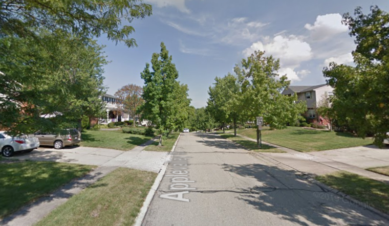 Colerain Township Community on Edge After Vicious Dog Attack Leaves Woman Hospitalized