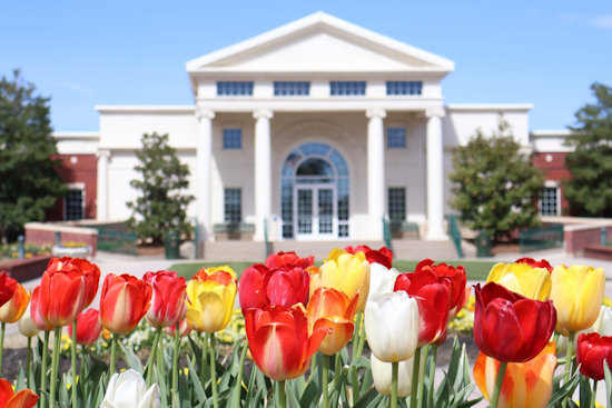 Collierville Retains Prestigious Aaa Bond Rating, Reflecting Strong Financial Health