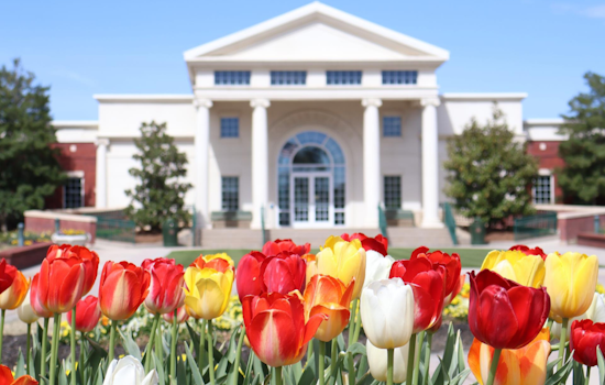 Collierville Retains Prestigious Aaa Bond Rating, Reflecting Strong Financial Health