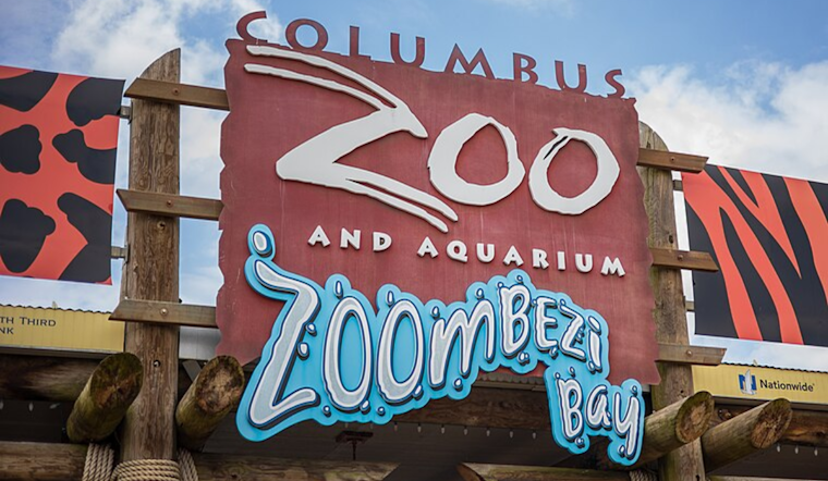 Columbus Zoo Celebrates Birth of Penguin Chicks and Over 70 Baby Seahorses, Anticipates Arrival of Asian Elephant Calves