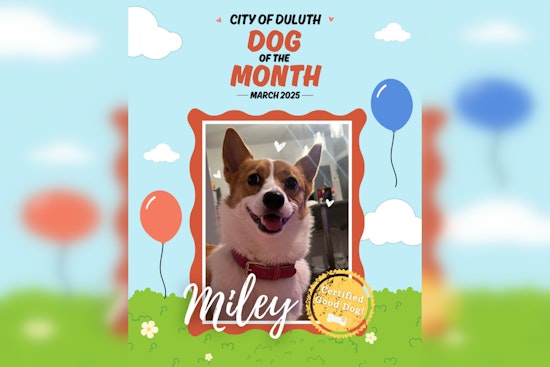 Corgi Named 'Dog of the Month' for Eco-Friendly Efforts in Duluth