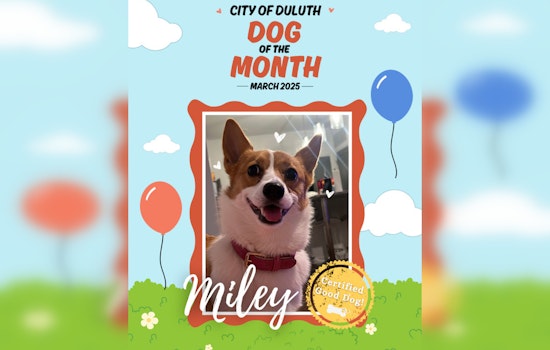 Corgi Named 'Dog of the Month' for Eco-Friendly Efforts in Duluth