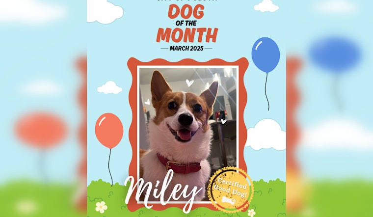 Corgi Named 'Dog of the Month' for Eco-Friendly Efforts in Duluth