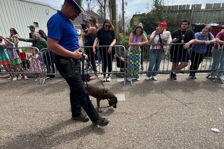 Covington's Mardi Paws Parade Charmed by St. Tammany Parish Sheriff's K9 Freya