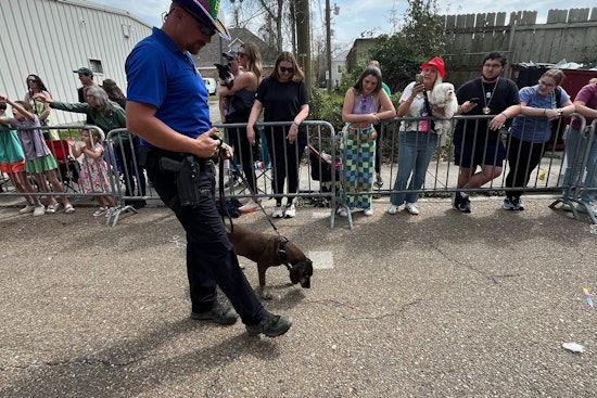 Covington's Mardi Paws Parade Charmed by St. Tammany Parish Sheriff's K9 Freya