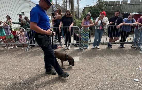 Covington's Mardi Paws Parade Charmed by St. Tammany Parish Sheriff's K9 Freya