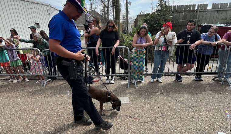 Covington's Mardi Paws Parade Charmed by St. Tammany Parish Sheriff's K9 Freya