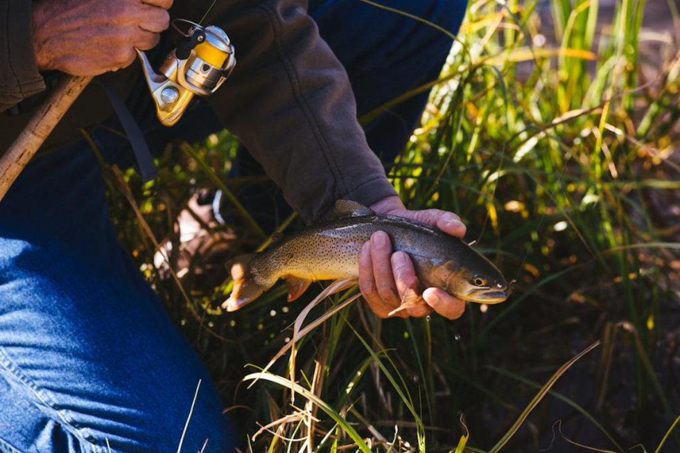 CPW Seeks Angler Input on New Fishery Management Plans at Gypsum Ponds Meeting in Colorado