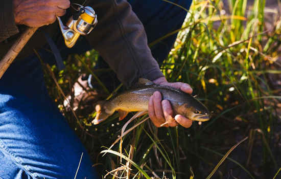 CPW Seeks Angler Input on New Fishery Management Plans at Gypsum Ponds Meeting in Colorado