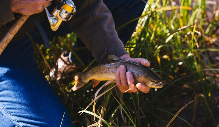 CPW Seeks Angler Input on New Fishery Management Plans at Gypsum Ponds Meeting in Colorado
