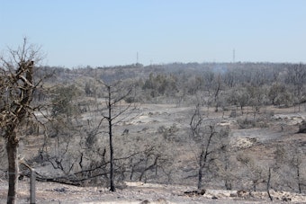 Crabapple Fire Near Fredericksburg Fully Contained After Burning 10,000 Acres