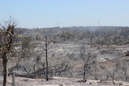 Crabapple Fire Near Fredericksburg Now 65% Contained, Texas A&M Forest Service Maps 9,737 Acres Affected