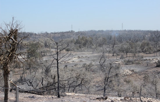 Crabapple Fire Near Fredericksburg Now 65% Contained, Texas A&M Forest Service Maps 9,737 Acres Affected