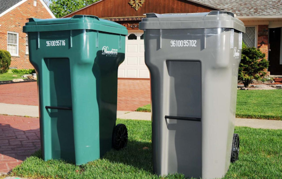 Dearborn Resumes Yard Waste Collection on March 10: Keeping The City Neat This Spring