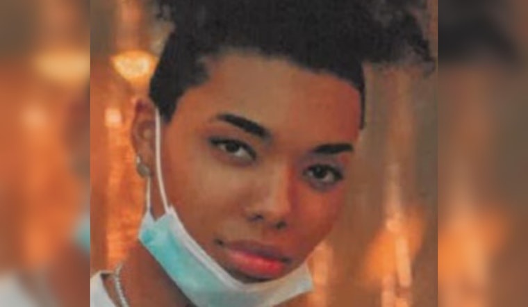 Detroit Police Seek Public's Help in Locating Missing 27-Year-Old Davina Frison