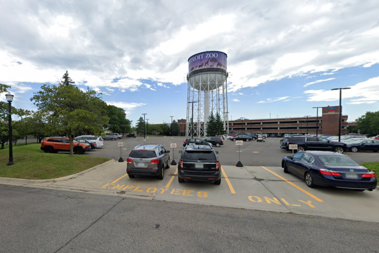 Detroit Zoo Welcomes Haley, a 22-Year-Old Polar Bear, to the Arctic Ring of Life Exhibit
