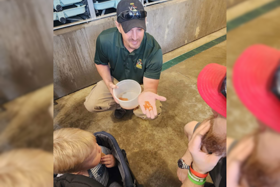 Discover the Journey from Hatchery to Habitat, Ohio Invites Public to Explore State Fish Hatcheries This Spring