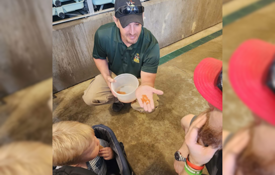 Discover the Journey from Hatchery to Habitat, Ohio Invites Public to Explore State Fish Hatcheries This Spring